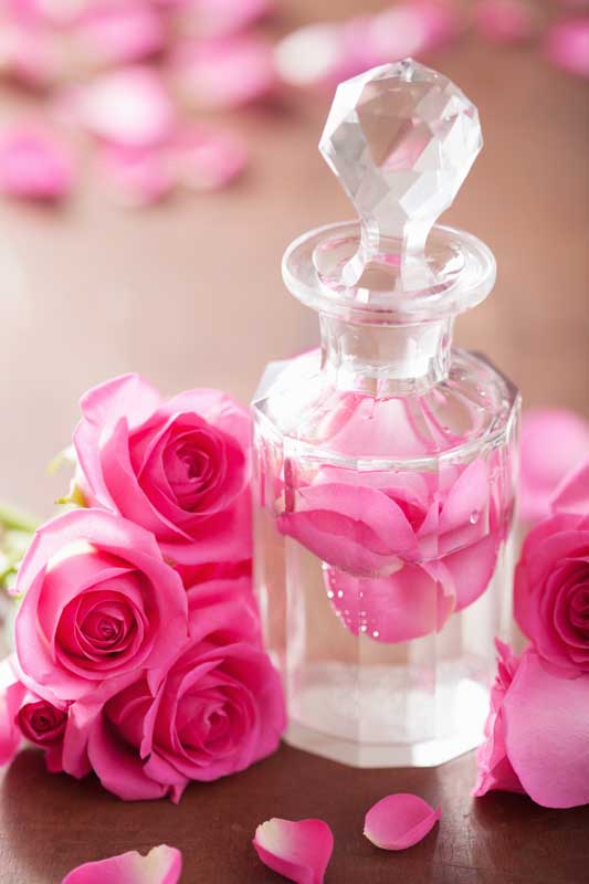 گلاب دو آتيشه با شرایط فوق العاده عمده