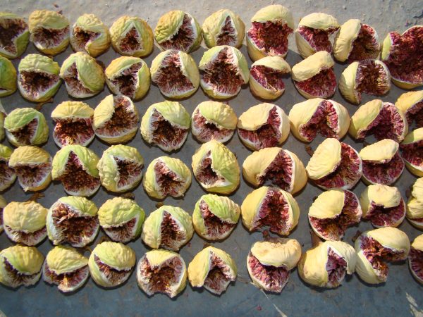 خرید انجیر خشک استهبان + ویژه