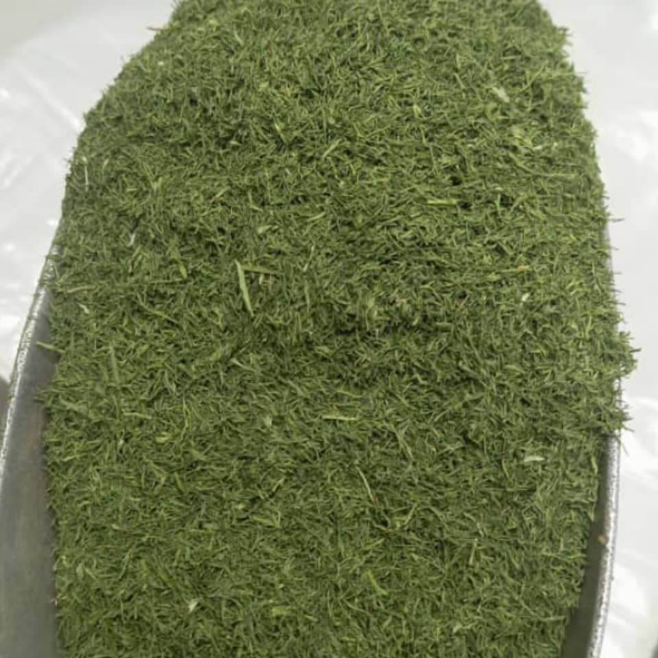 شوید خشک برگ + خریدی منصفانه