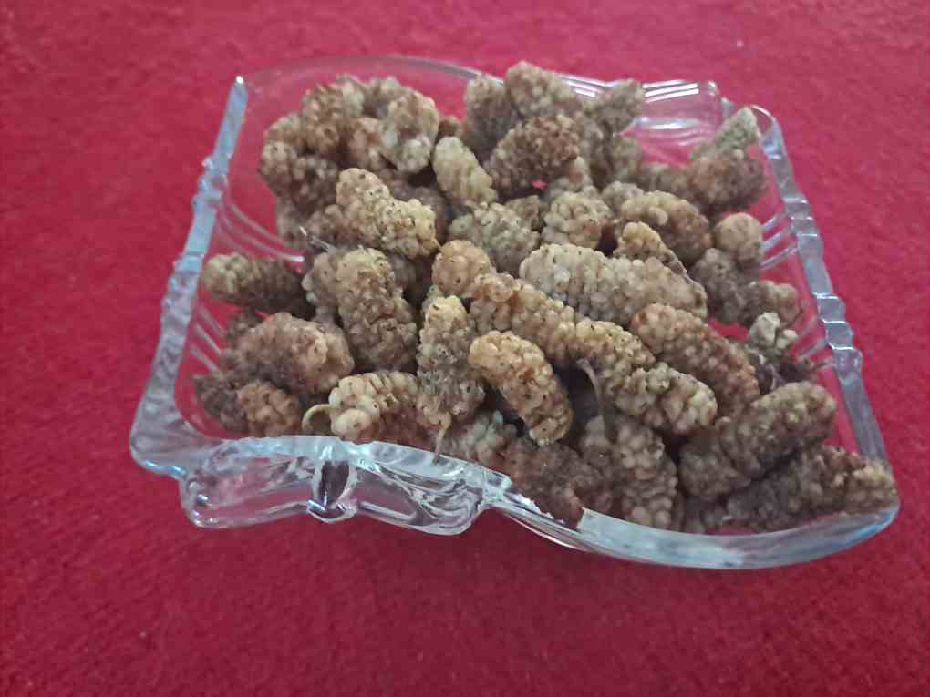 خرید استثنایی توت بخارایی