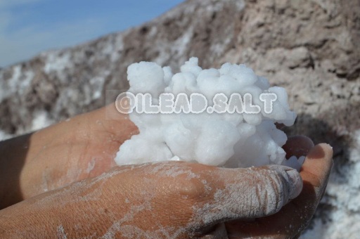 نمک چشمه صادراتی خالص طبی طبیعی فروش خرید