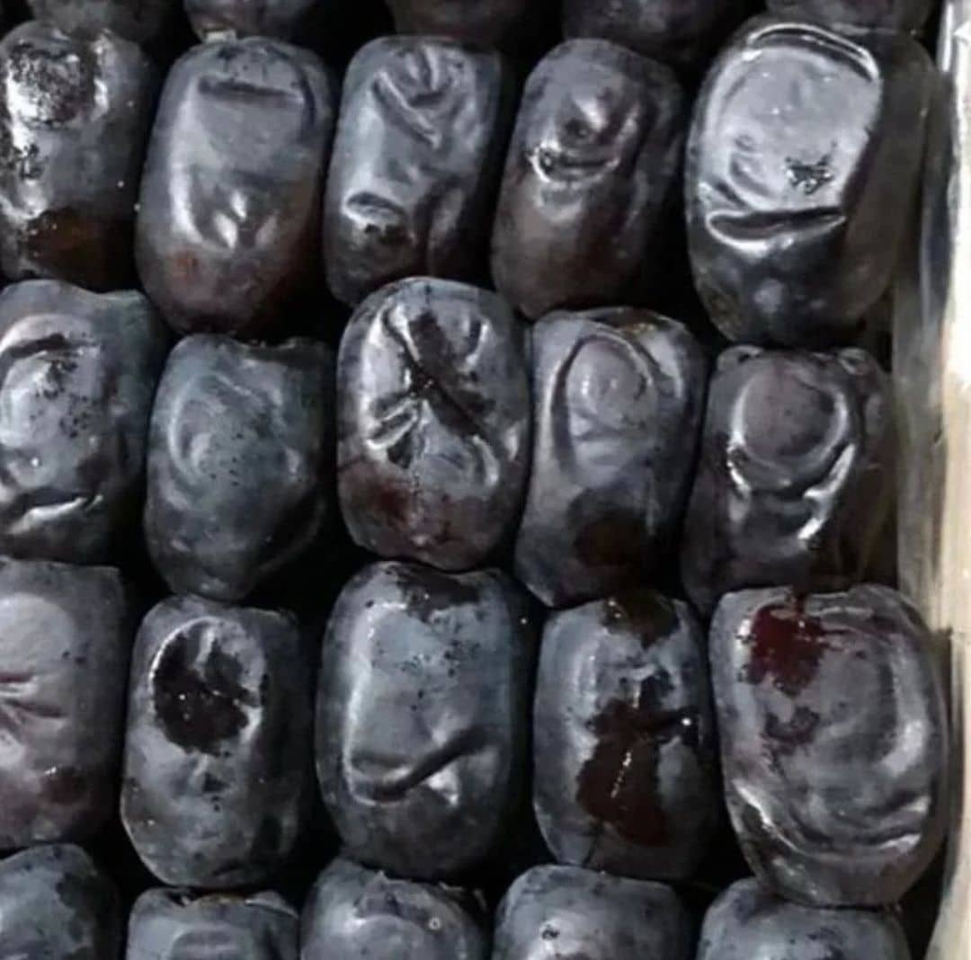 پخش عمده خرما مضافتی اصل نخلینا