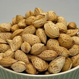خرید و فروش بادام محب + قیمت باورنکردنی