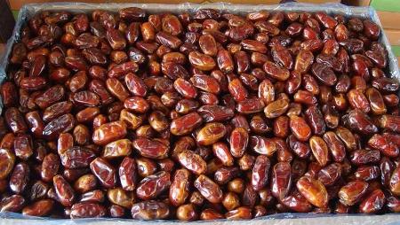 قیمت خرما استعمران شادگان صادراتی