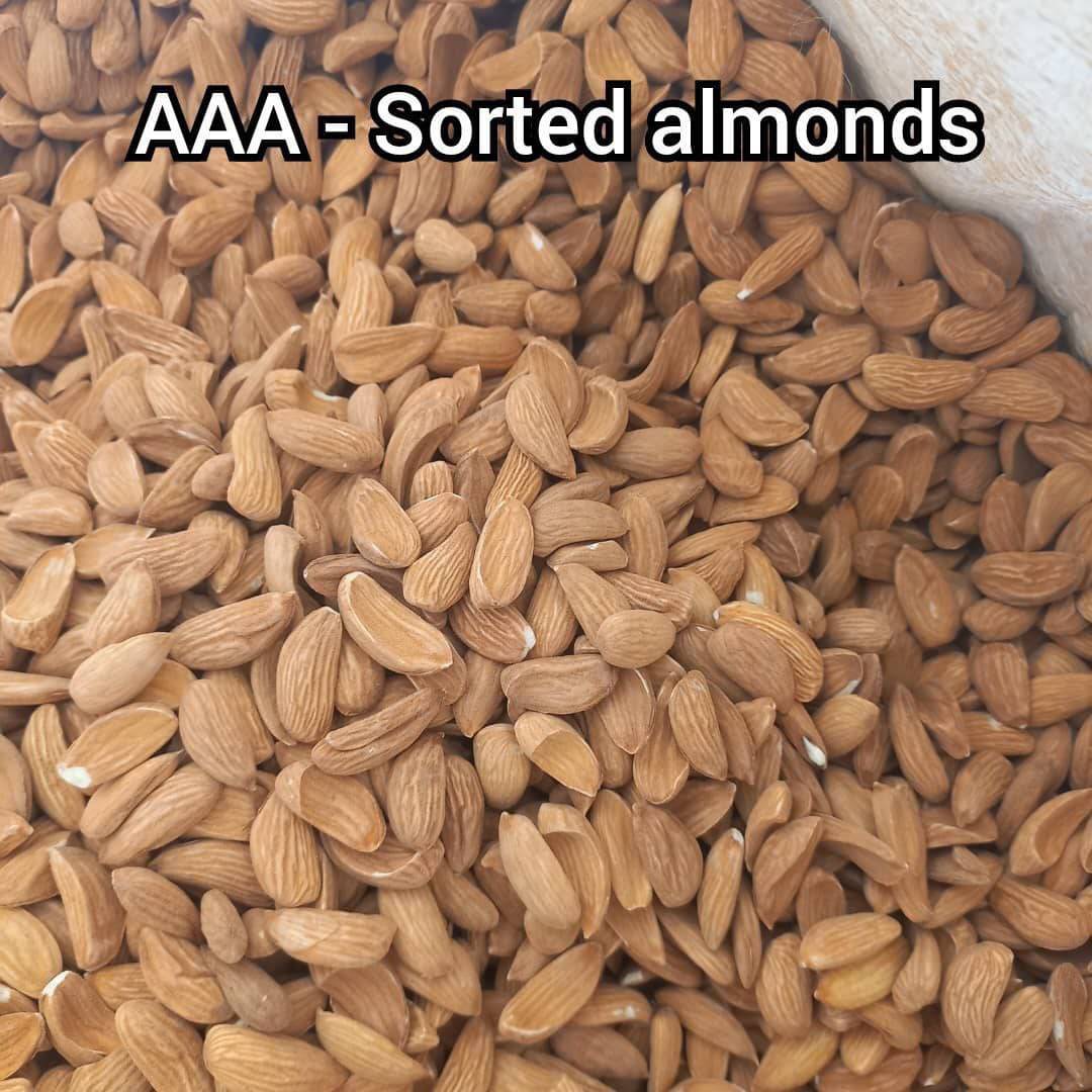خرید و فروش مغز بادام مامایی اصفهان + فروش عمده