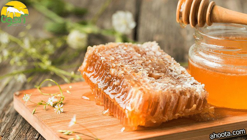 قیمت عسل زنیان کوهی پت 5 کیلویی + فروش عمده