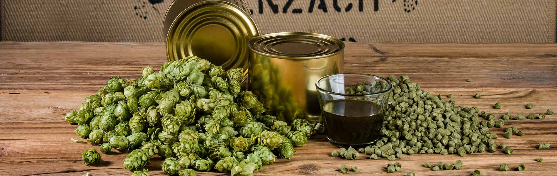 خرید و فروش عمده عصاره غلیظ رازک + صادرات عصاره رازک با کیفیت ممتاز