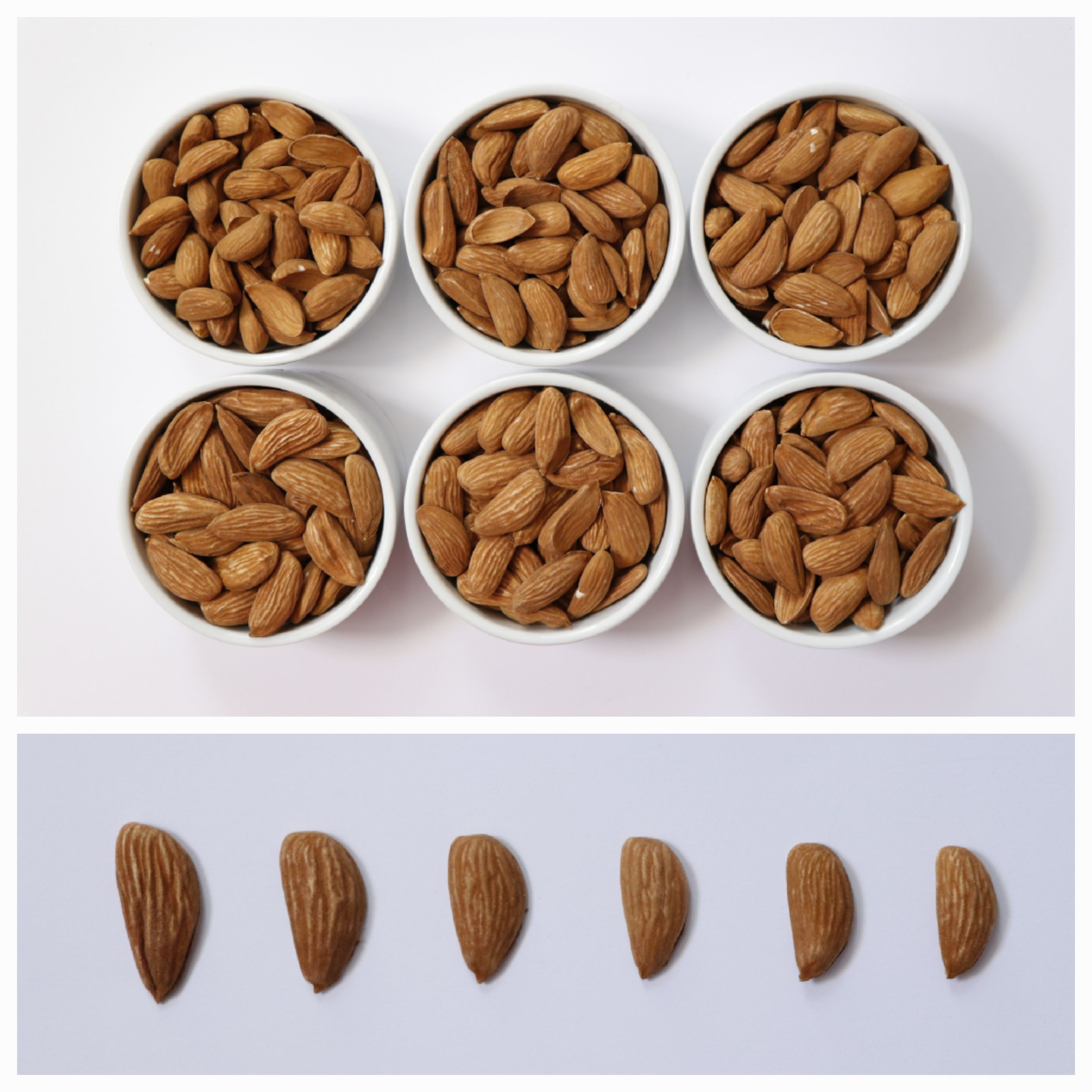 خرید اینترنتی مغز بادام درختی با قیمت مناسب