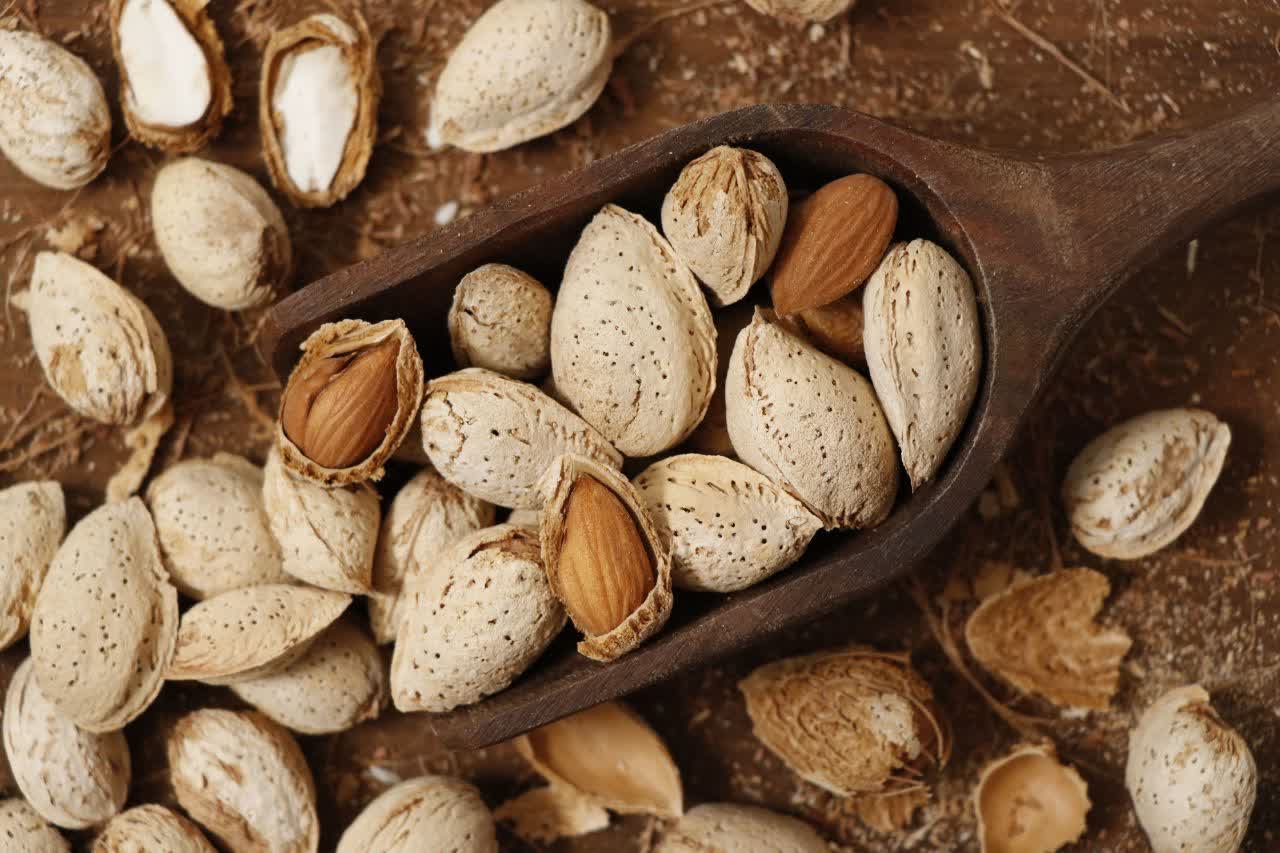 قیمت عمده  مغز بادام  سفید در بازار ایران