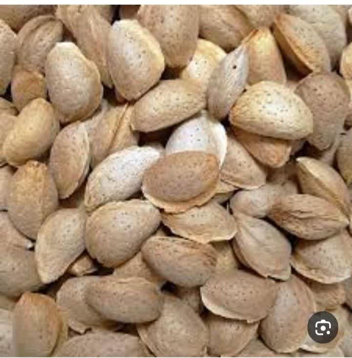 خرید بادام ربیع با پوست