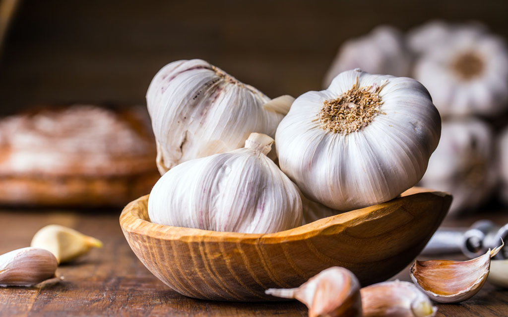 خرید سیر سفید همدان