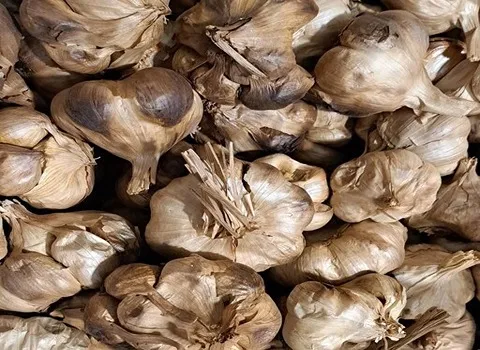 فروش عمده سیر سیاه سولان