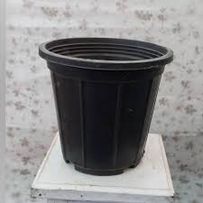 صادرات گلدان پلاستیکی ، فرصتی برای تجارت جهانی