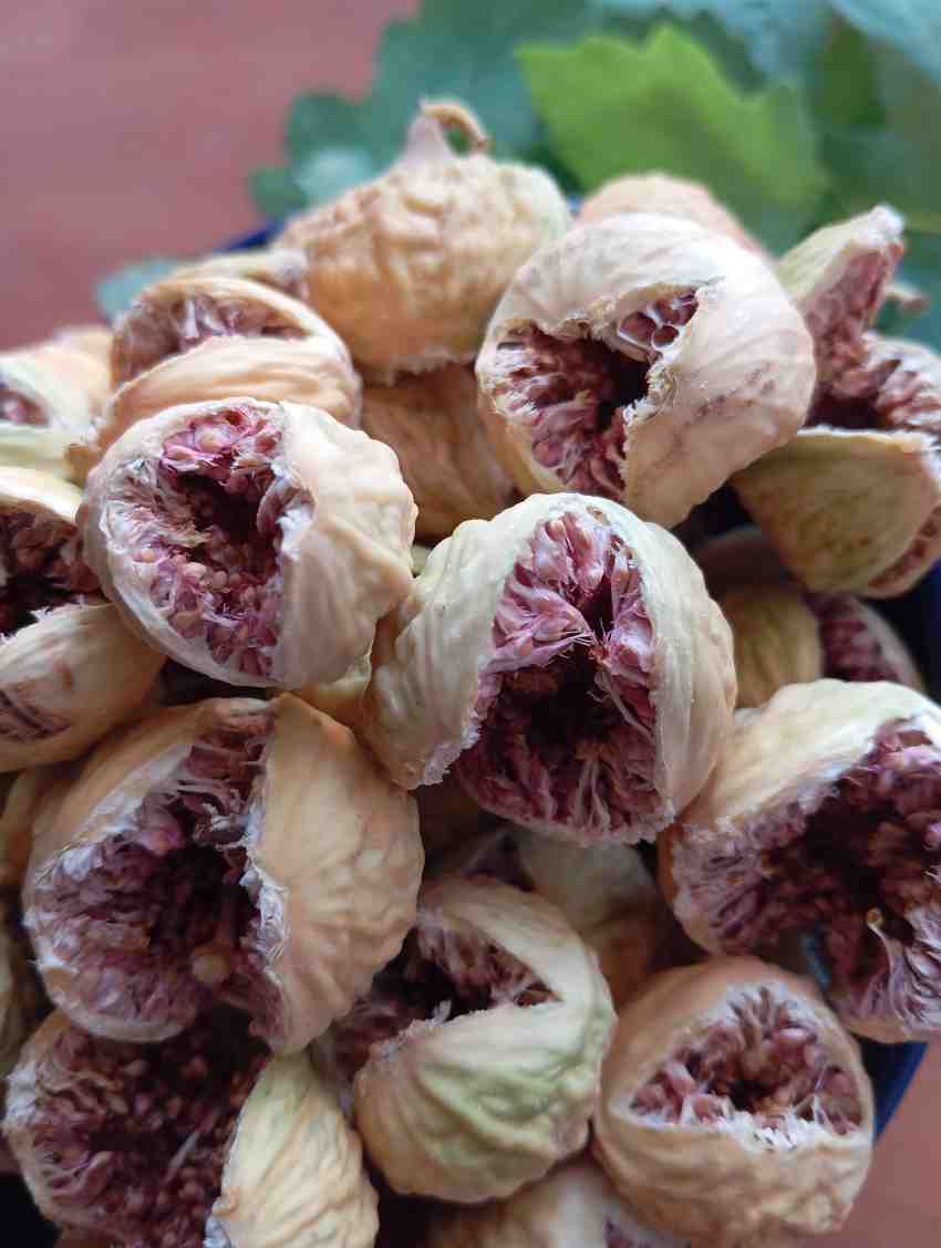 فروش انجیر خشک استهبان نوع غنچه صادراتی