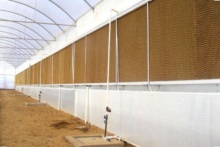 قیمت پد سلولزی 7090 ابعاد 60 × 100 با ضخامت 10 سانت + قسمت اقتصادی