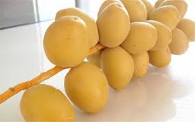 خارک برحی جنوب + استقبال بی نظیر خریدران عمده
