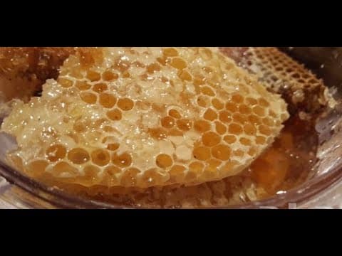 فروش عسل طبیعی با شرایط استثنایی