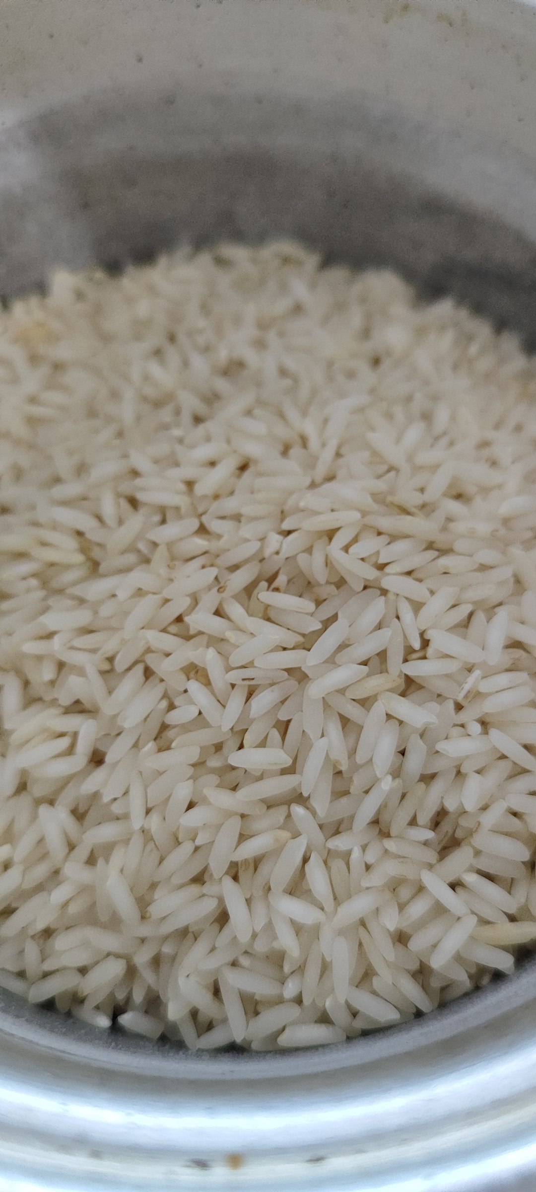 عرضه برنج طارم هاشمی شمال با بسته‌بندی استاندارد تجاری