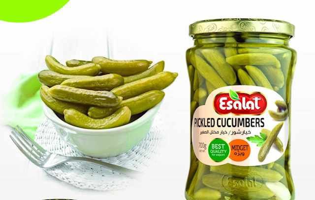فروش ویژه اینترنتی خیارشور اصالت + قیمت عادلانه