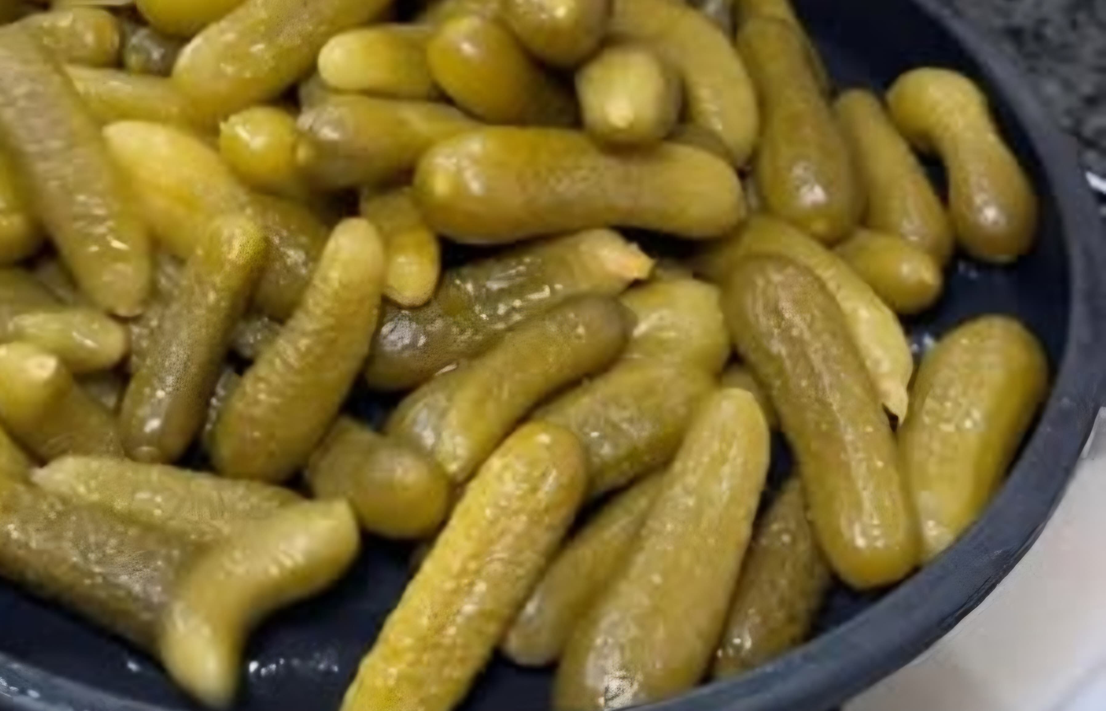 قیمت مناسب خیارشور خار دار + فروش عمده