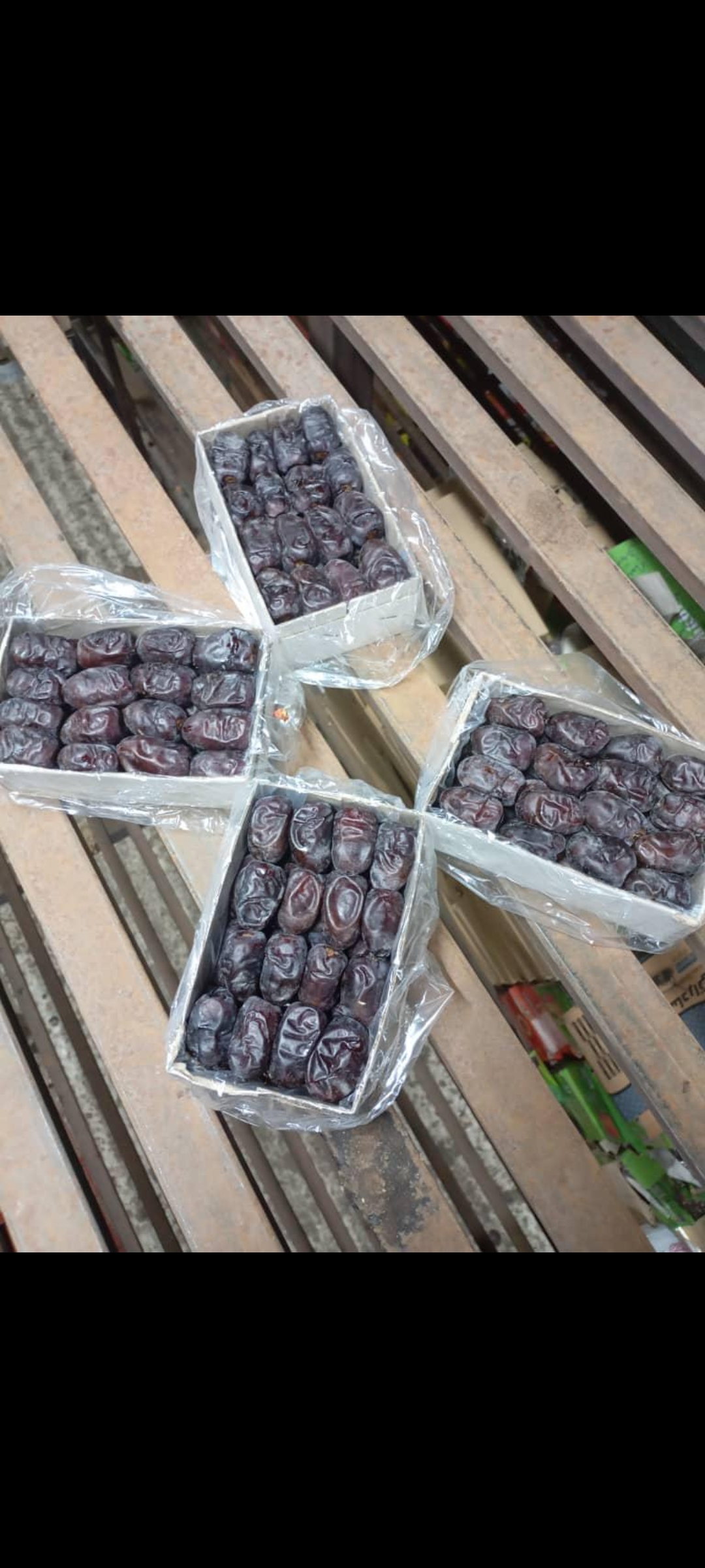 فروش مستقیم خرما مضافتی بلوچستان + از تولید به مصرف