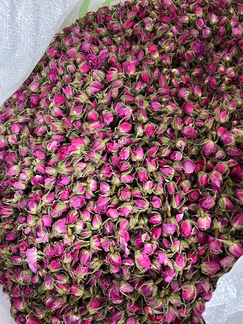 خرید غنچه گل محمدی بدون واسطه از غرفه داران