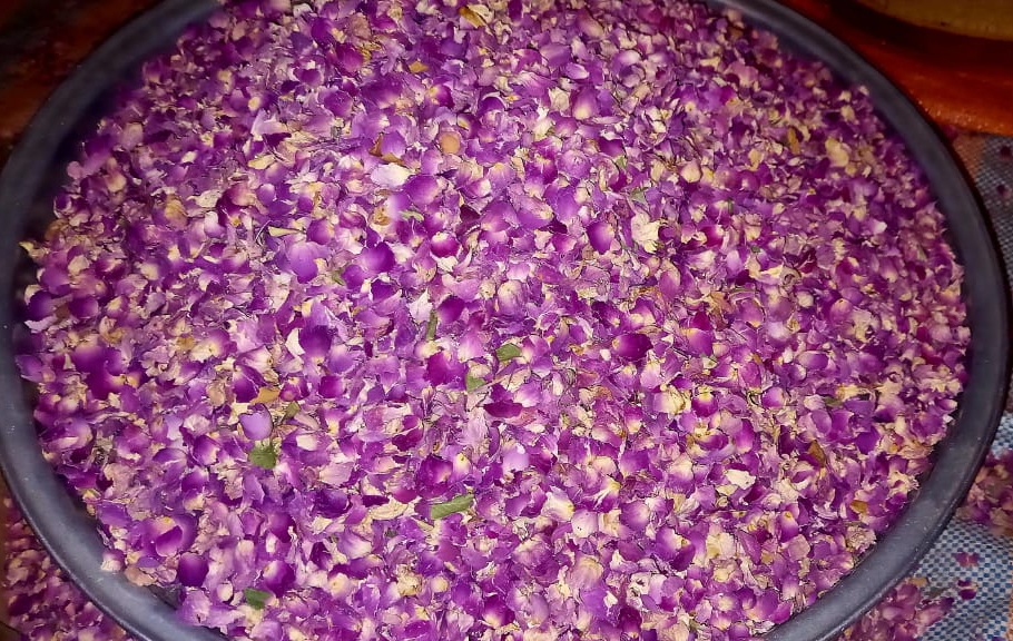 فروش عمده با شرایط منعطف پر گل محمدی