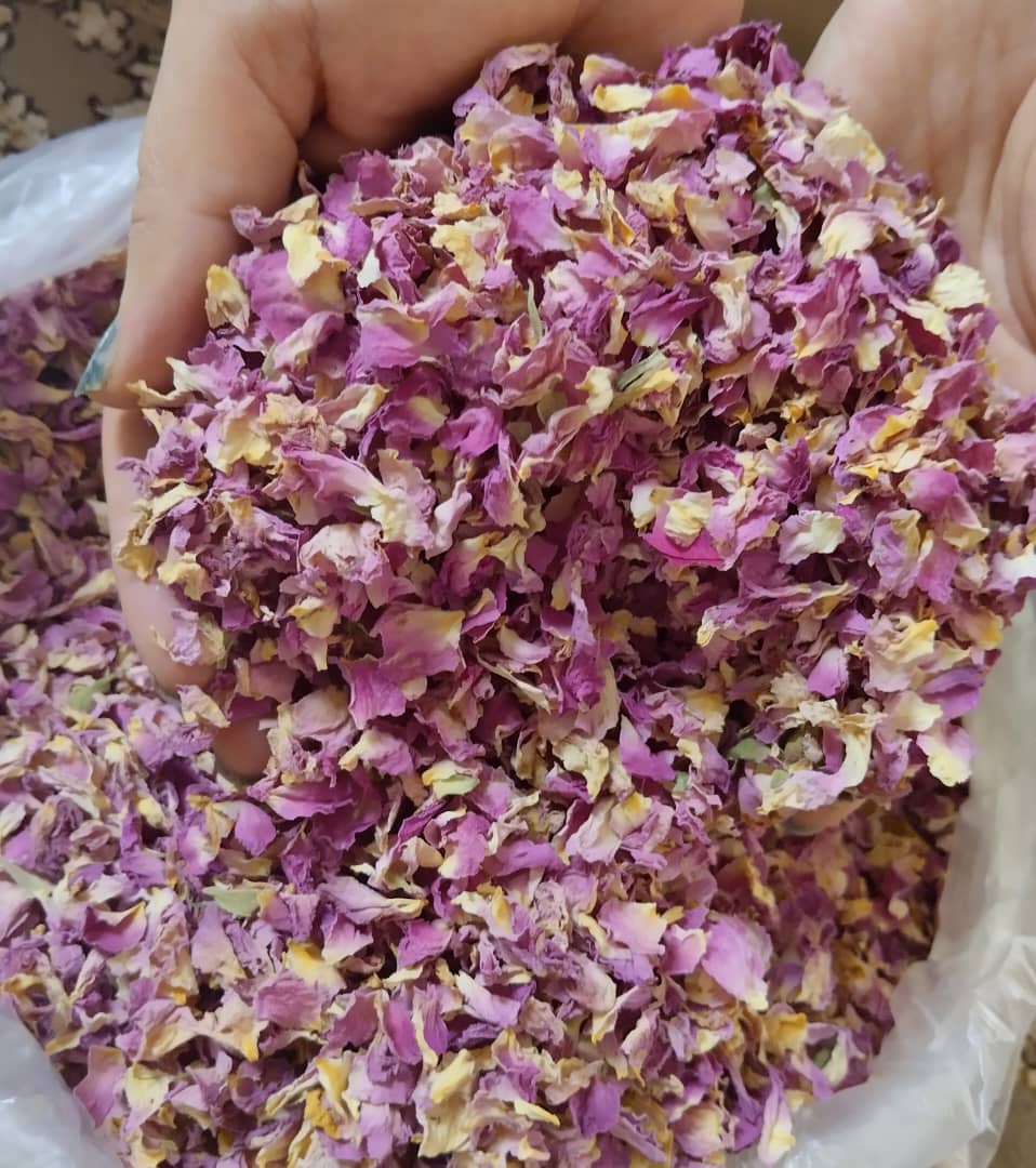 خرید به صرفه و قیمت مقرون گل محمدی
