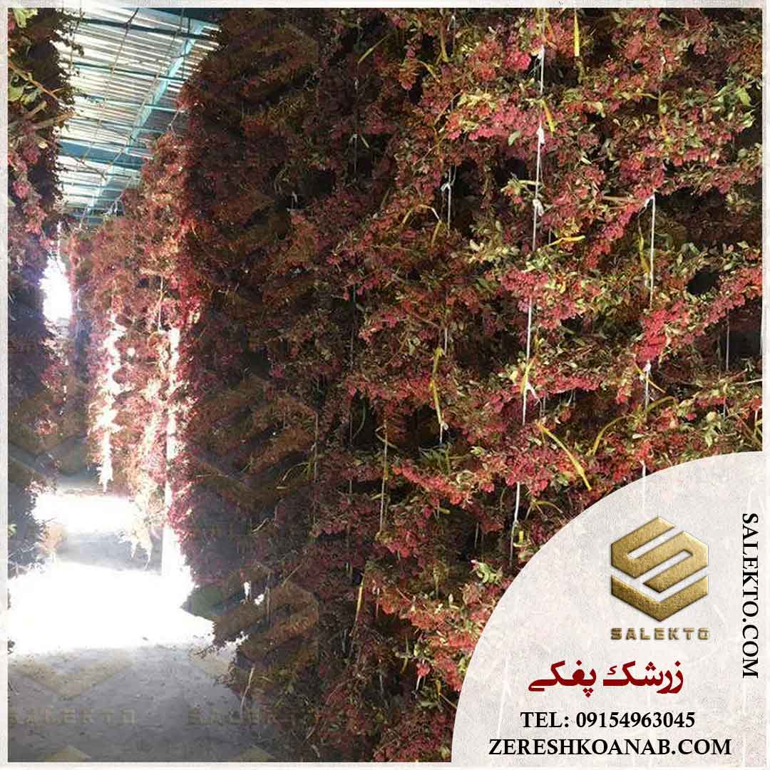 زرشک پفکی با طعم و بافت بی‌ نظیر