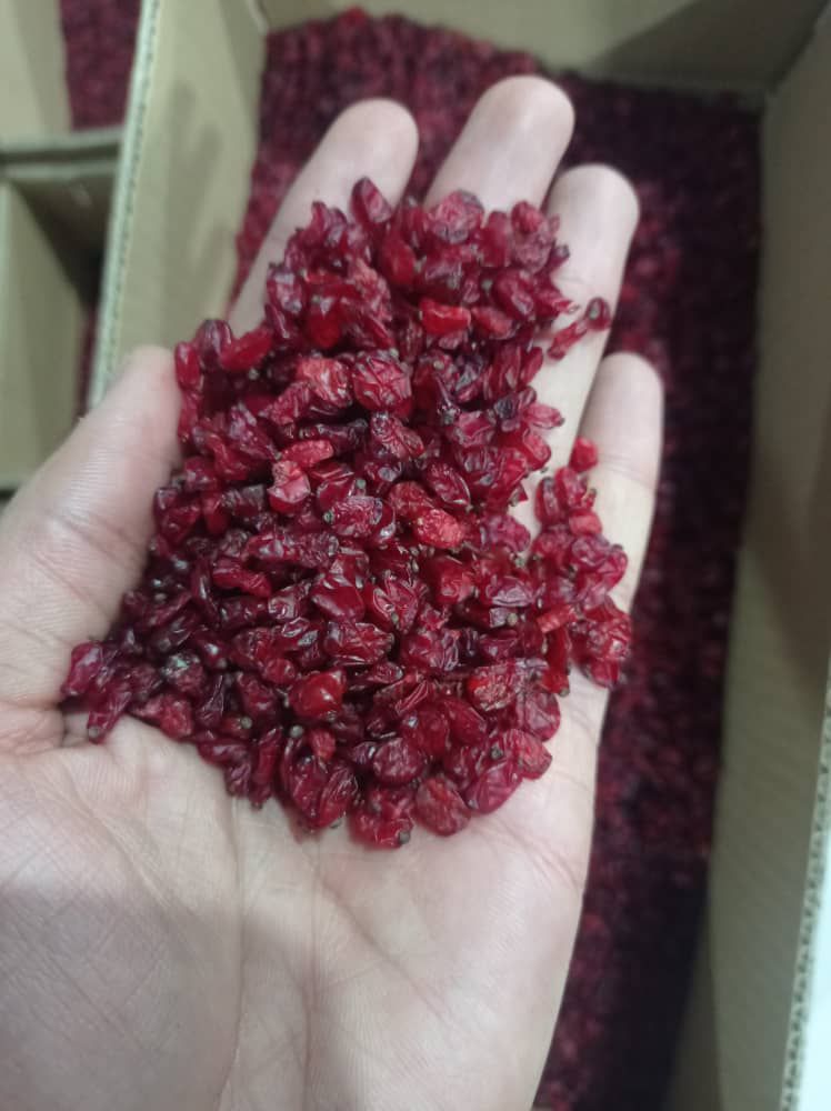 زرشک اناری  با طعم خاص + خرید مستقیم