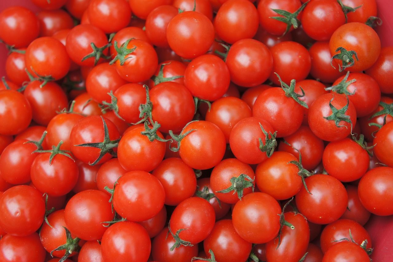 قیمت خرید رب گوجه بدون مواد نگهدارنده