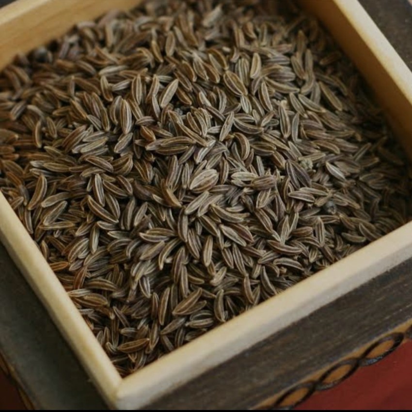 زیره کوهی تازه‌ چین خوش‌ عطر
