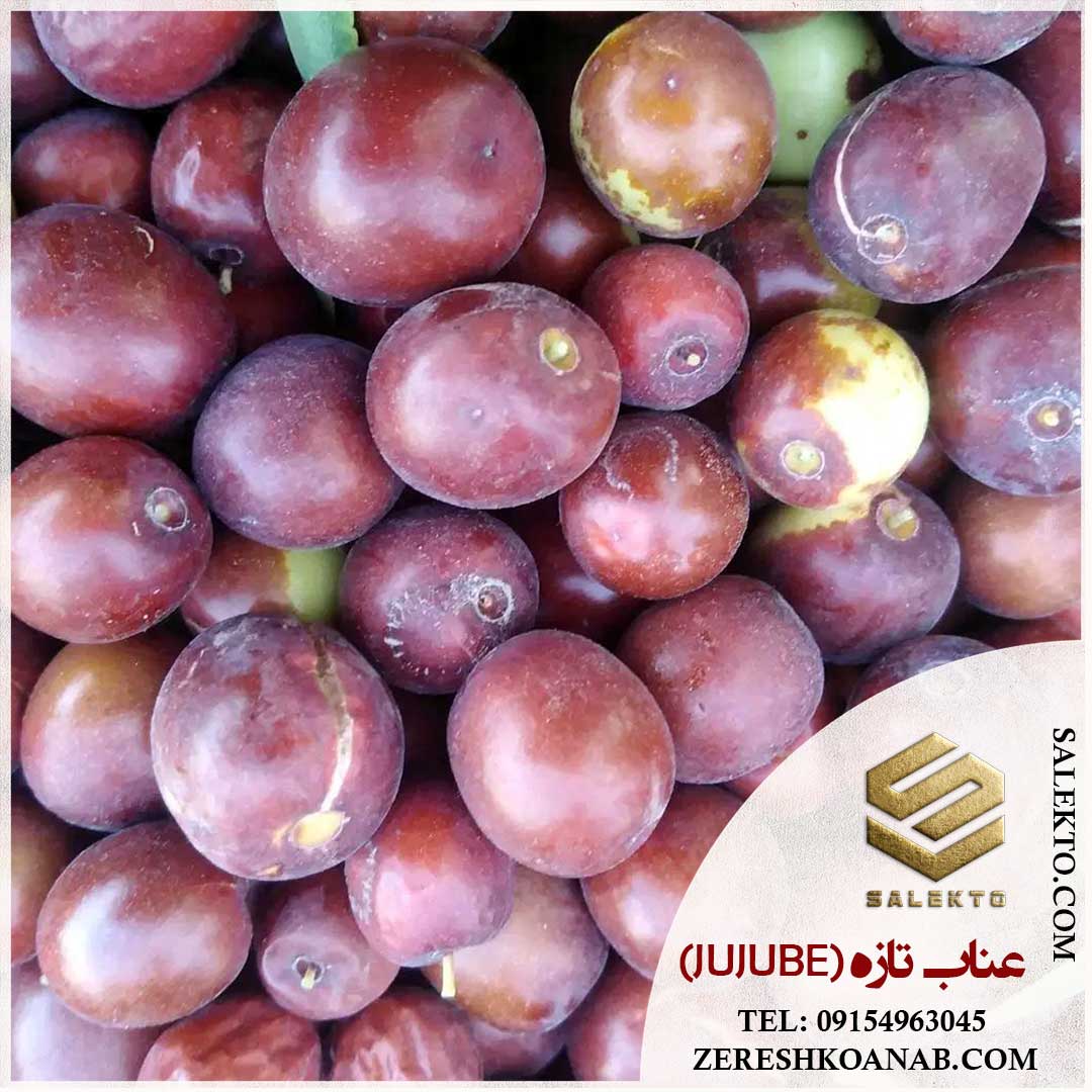 عناب تازه بیرجند با خواص درمانی فوق‌ العاده + خرید به‌ صرفه