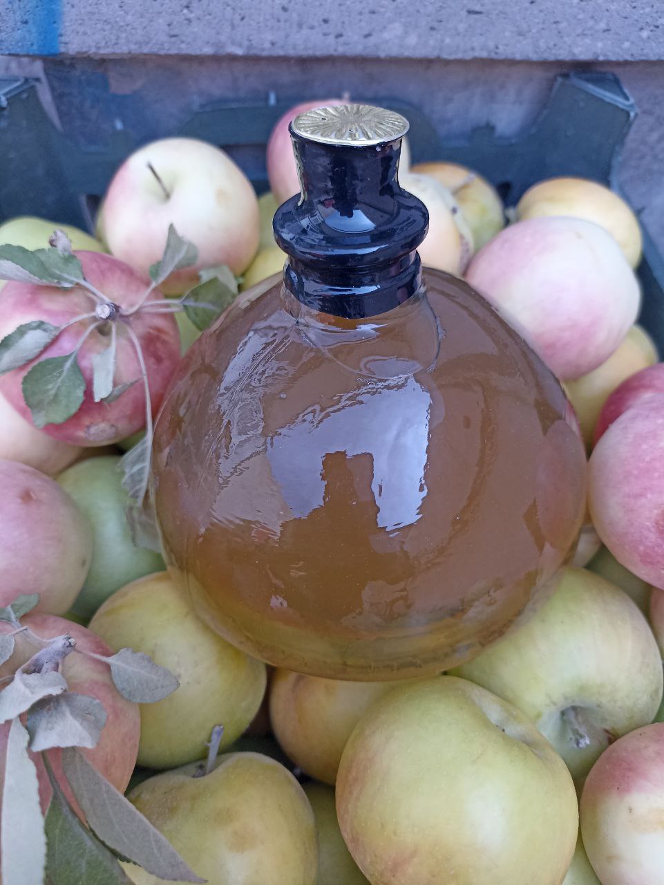 خرید سرکه سیب دیسپ بسته بندی شیشه ای صادراتی+ فروش عمده