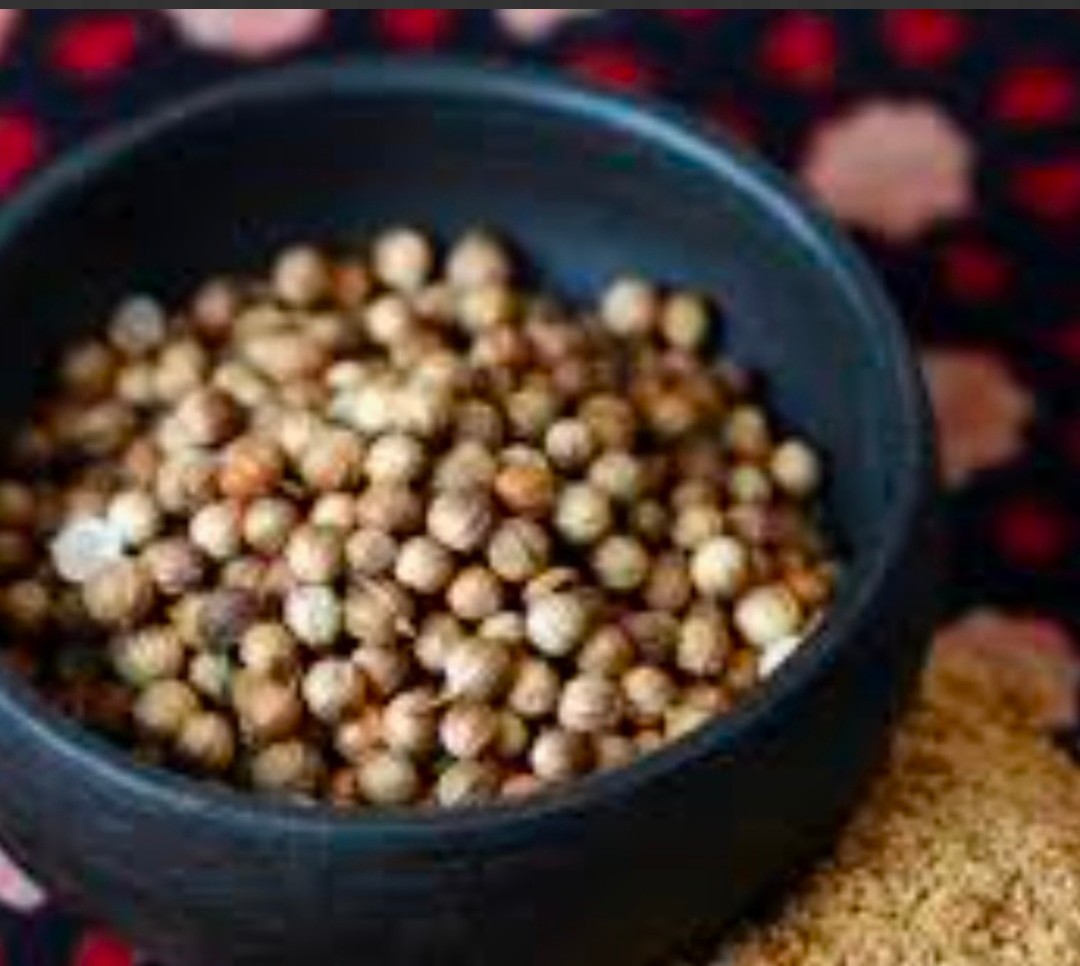 خرید تخم گشنیز + خرید به صرفه