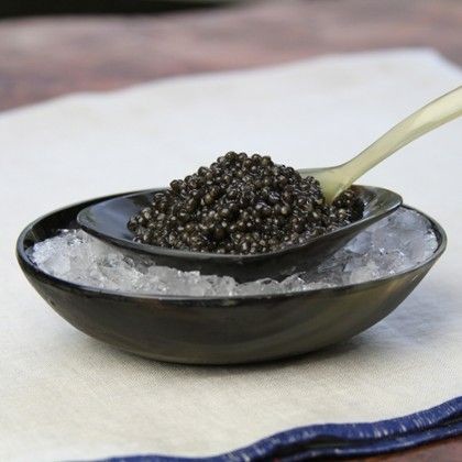 سیاه خاویار جنوب + قیمت مقرون به صرفه
