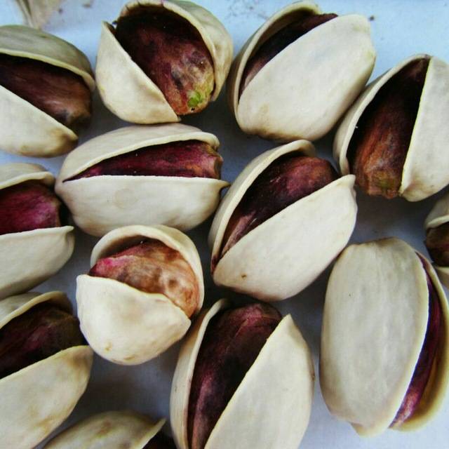 عرضه مستقیم پسته کله‌ قوچی + کیفیت برتر و قیمت رقابتی
