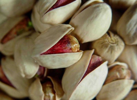 خرید عمده پسته کله قوچی با کیفیت ممتاز