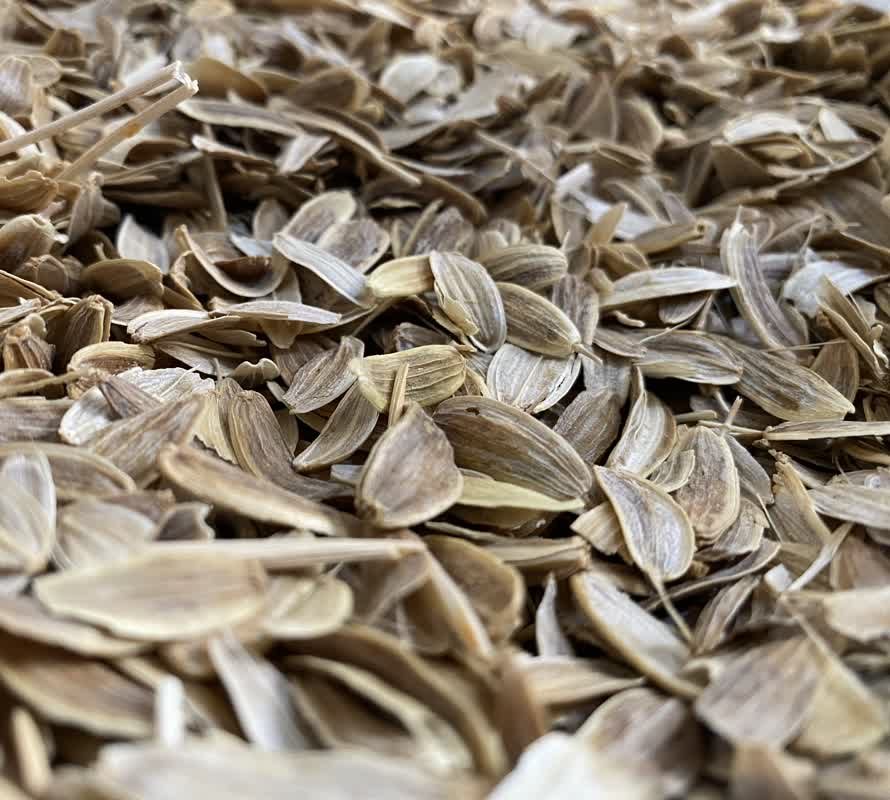 خرید عصاره خوراکی آنجدان رومی + قیمت رقابتی