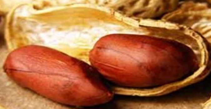 بادام زمینی مرغوب