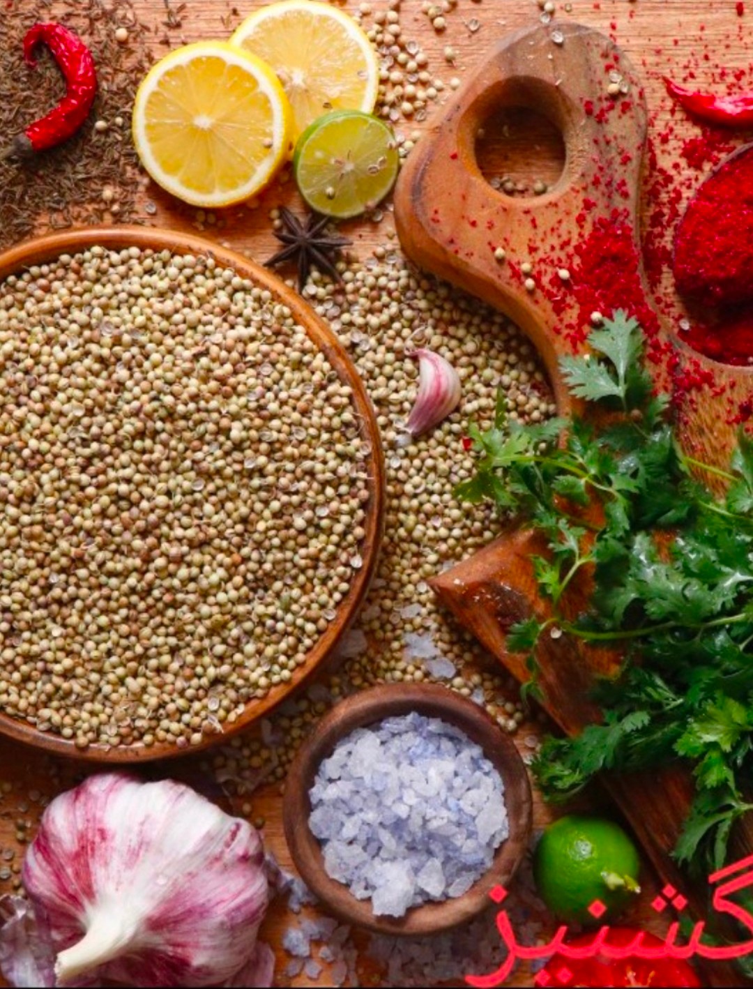 خرید پودر گشنیز + عصاره ای طبیعی و مفید