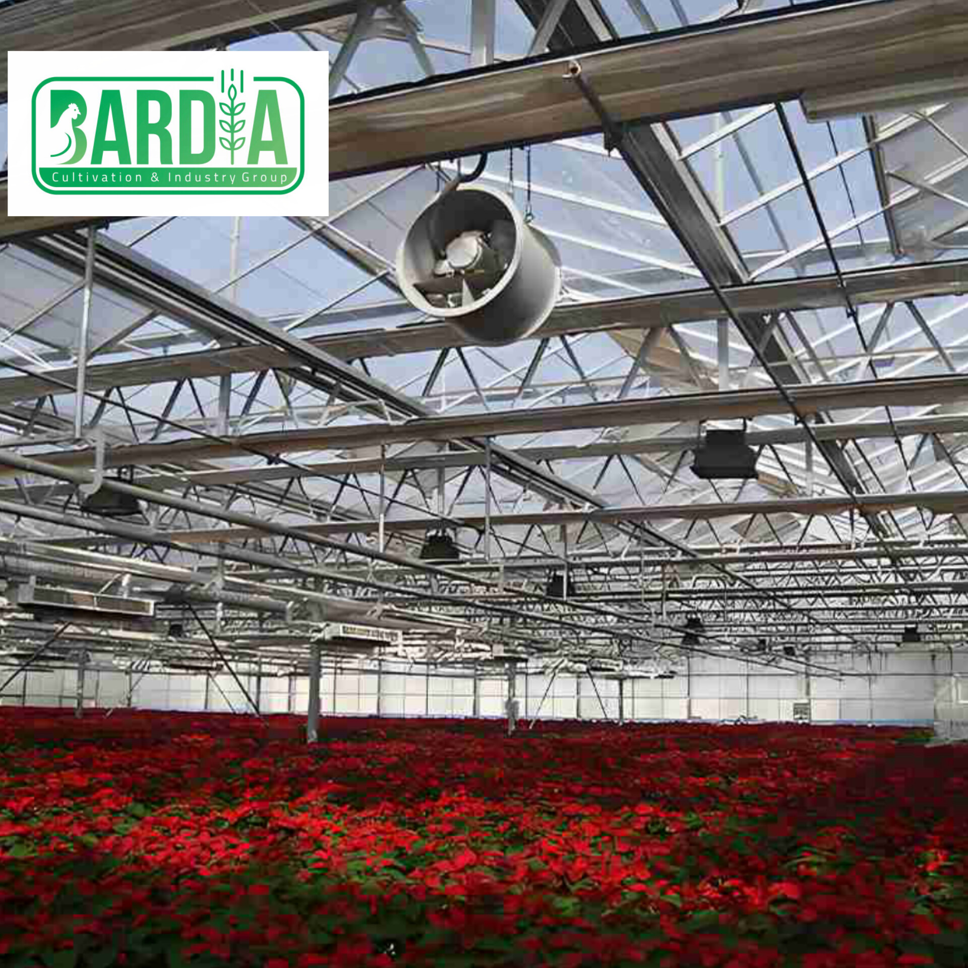 فروش فوری و ارزان فن سیر کوله قطر 50 بدنه استیل