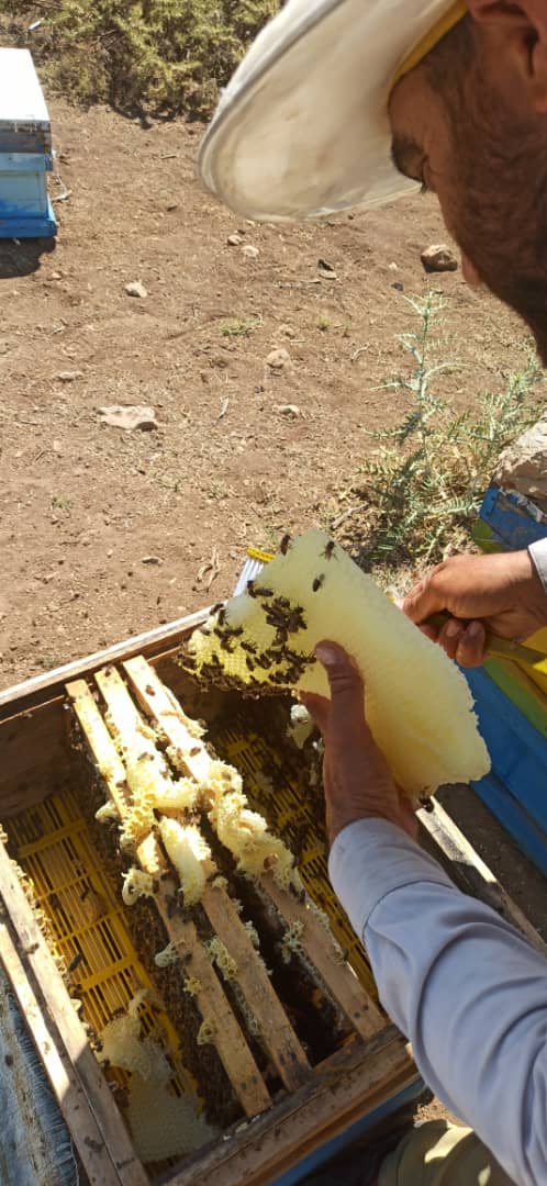 بره موم اصل درجه یک ناب لرستان