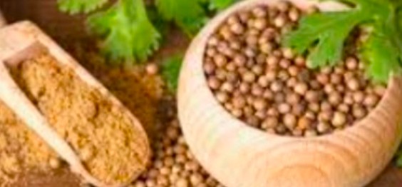 خرید بذر گشنیز + محصولی متنوع در صنایع مختلف
