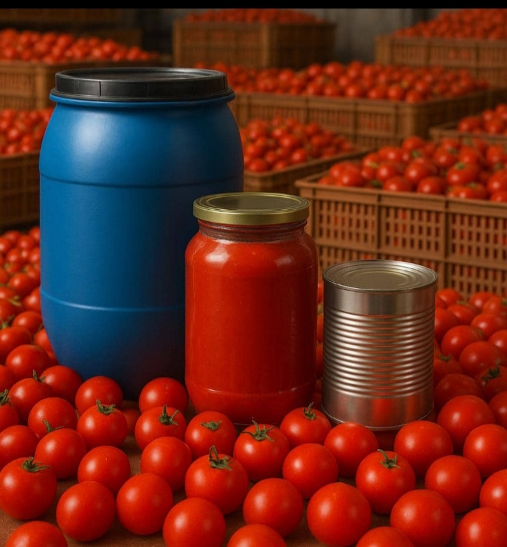 خرید و فروش انواع رب گوجه‌ فرنگی با بریکس بالا و کیفیت عالی