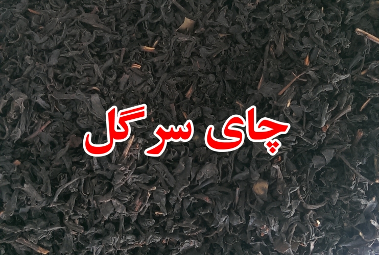 چای سرگل صادراتی + قیمتی به صرفه
