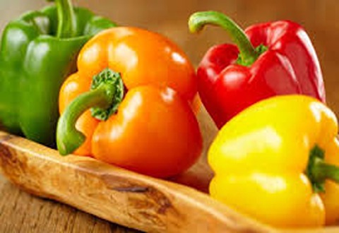 عرضه ویژه فلفل دلمه رنگی اصفهان + قیمت نهایی
