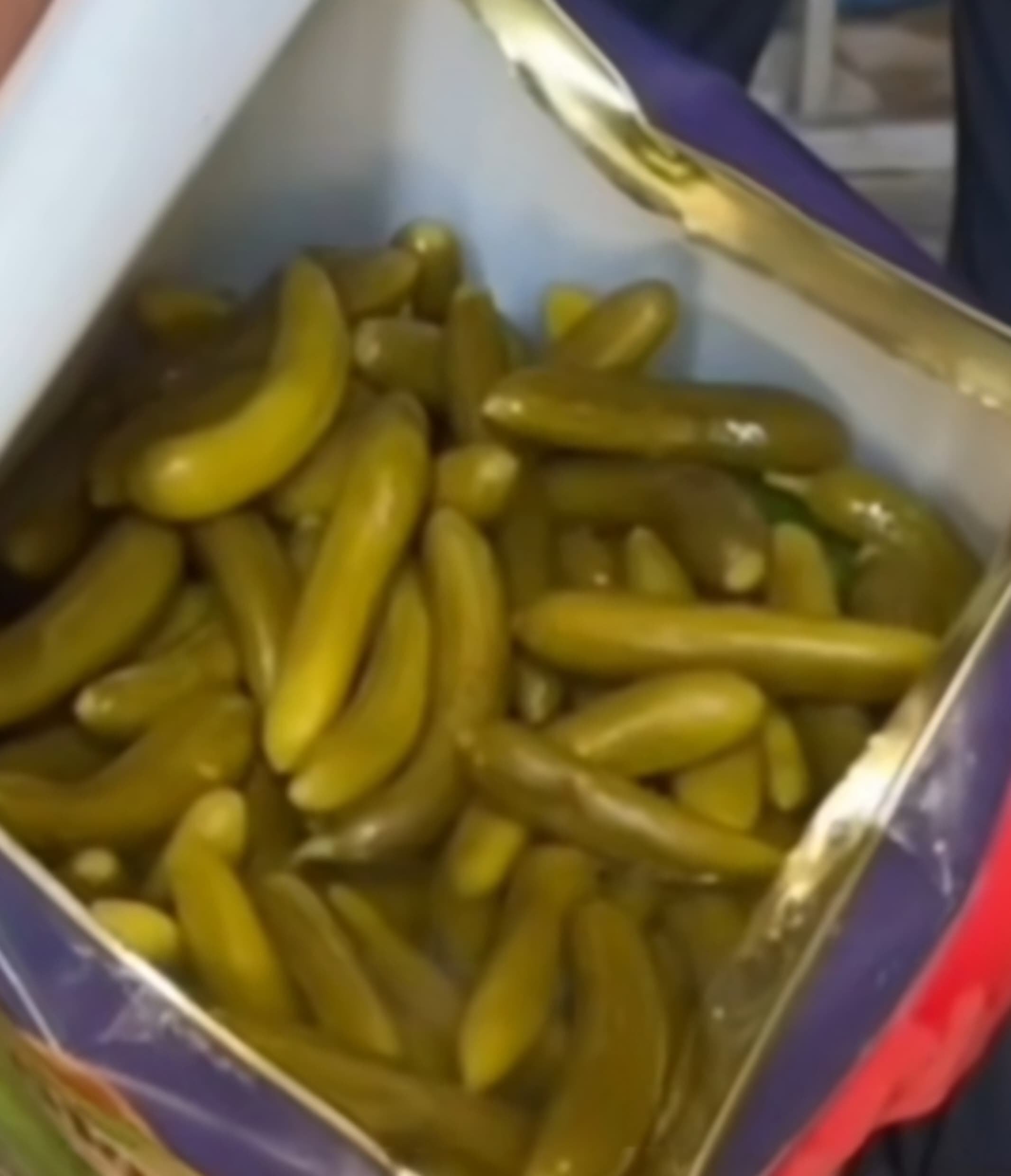 خرید نقدی خیارشور ویژه حلب + تخفیف ویژه