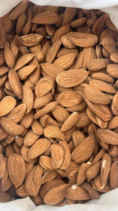 خرید و عرضه بادام مامایی ایرانی ممتاز + بسته‌بندی صادراتی