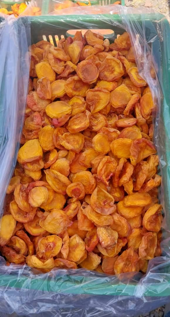 برگه زردآلو صادراتی